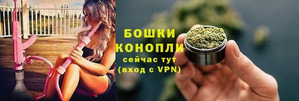сатива Михайловск