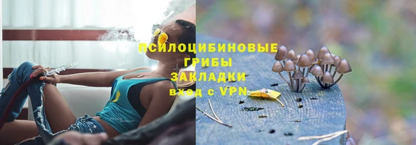 героин Михайлов