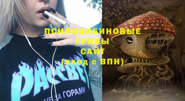 мяу мяу мука Белокуриха