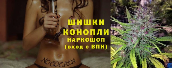 сатива Михайловск