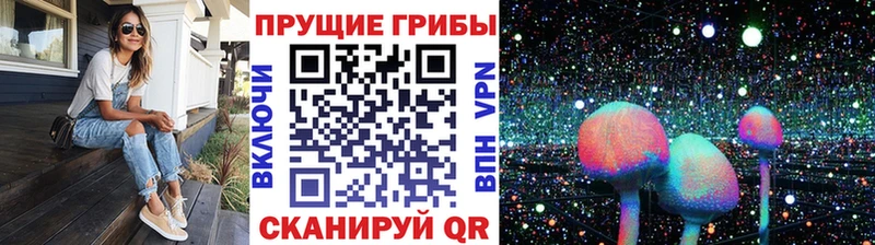 Псилоцибиновые грибы прущие грибы  кракен зеркало  Пучеж 