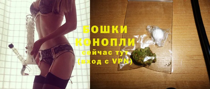 Конопля OG Kush  Пучеж 